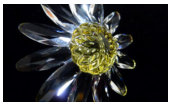 Swarovski Crystal Repair Apple