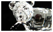 Swarovski Crystal Repair Bear with Fish